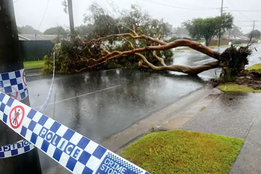 COSTLY CLEAN-UP: There are fears that insurance companies will hike premiums.