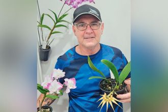 PASSION PROJECT: Paul McCarthy loves growing orchids.