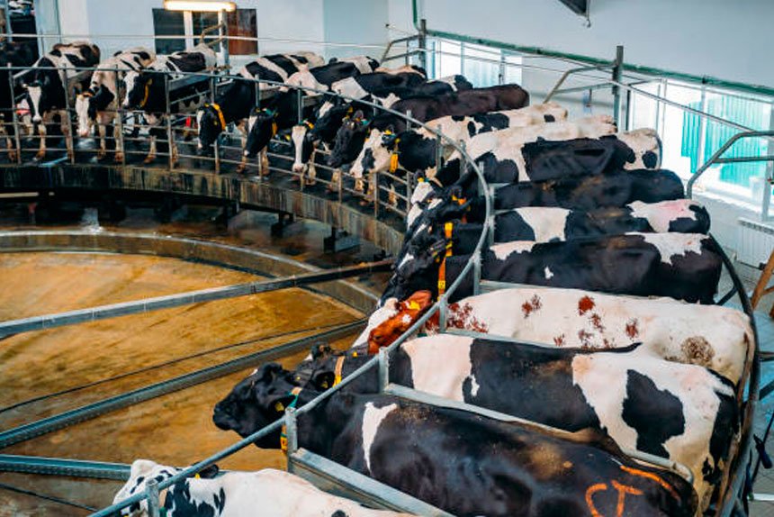 Robots bring relief to frazzled farmers