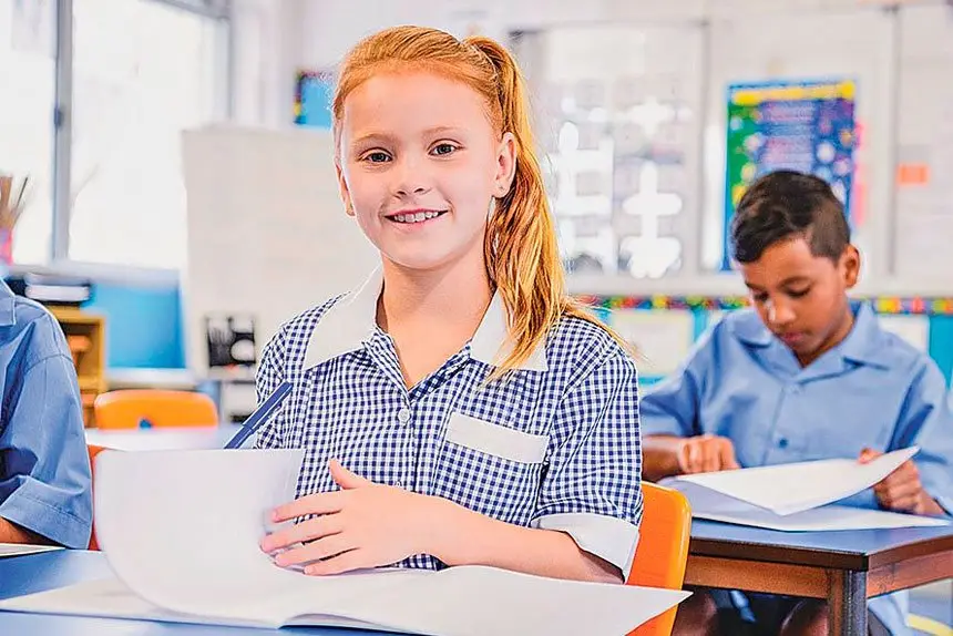 TESTING TIMES: Option to delay NAPLAN assessments.