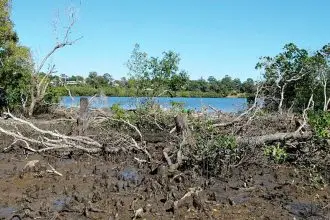 WASTELAND: The devastation after the attack.