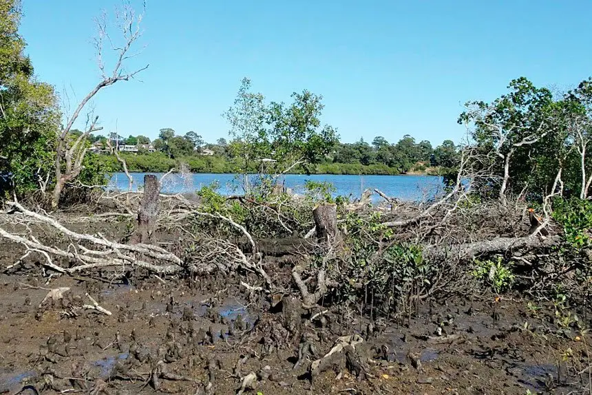 WASTELAND: The devastation after the attack.