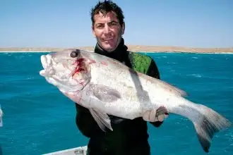 WHAT A BEAUTY: Spear fisherman Craig McKeown with a prized catch.