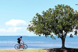BOLD DREAMS: Wynnum locals are sharing big ideas to revitalise their beloved Bayside suburb.