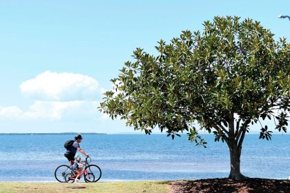 BOLD DREAMS: Wynnum locals are sharing big ideas to revitalise their beloved Bayside suburb.