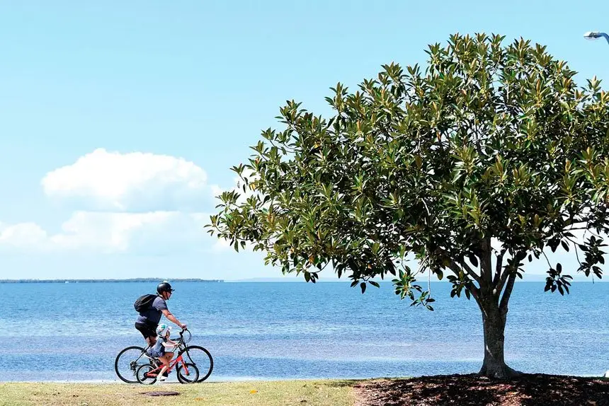 BOLD DREAMS: Wynnum locals are sharing big ideas to revitalise their beloved Bayside suburb.