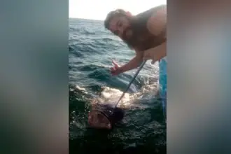 CATCH OF THE DAY: Dean Roche with a 100kg groper caught and released in Moreton Bay.