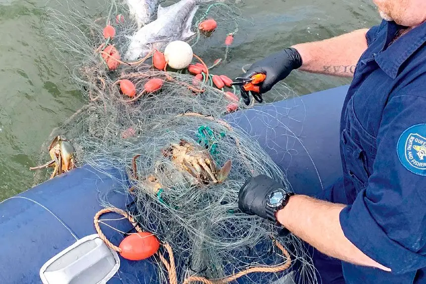Illegal netting has alarmed Queensland Boating and Fishing Patrol officers.