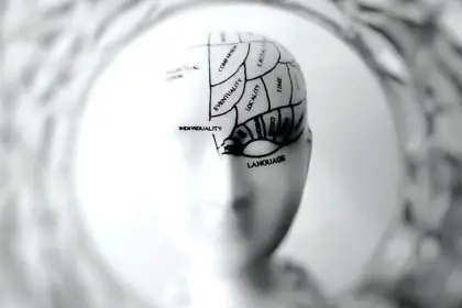 In 2023, a large global study co-led by QBI and Harvard Medical School found that half of us will likely develop at least one mental health disorder by age 75.