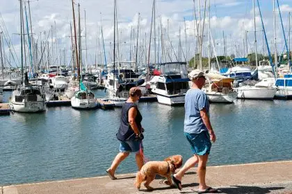 Taking a walk beside the Manly Boat Harbour is popular among locals and visitors alike.