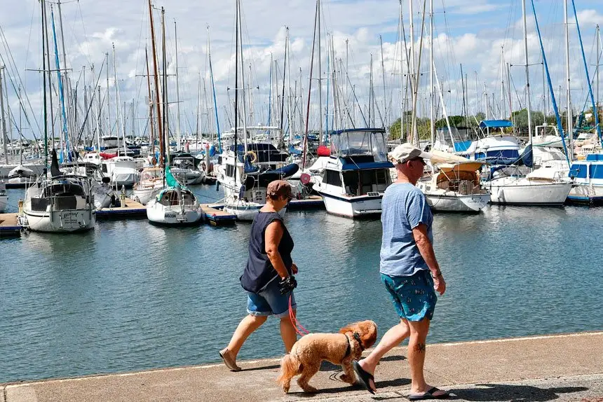 Taking a walk beside the Manly Boat Harbour is popular among locals and visitors alike.