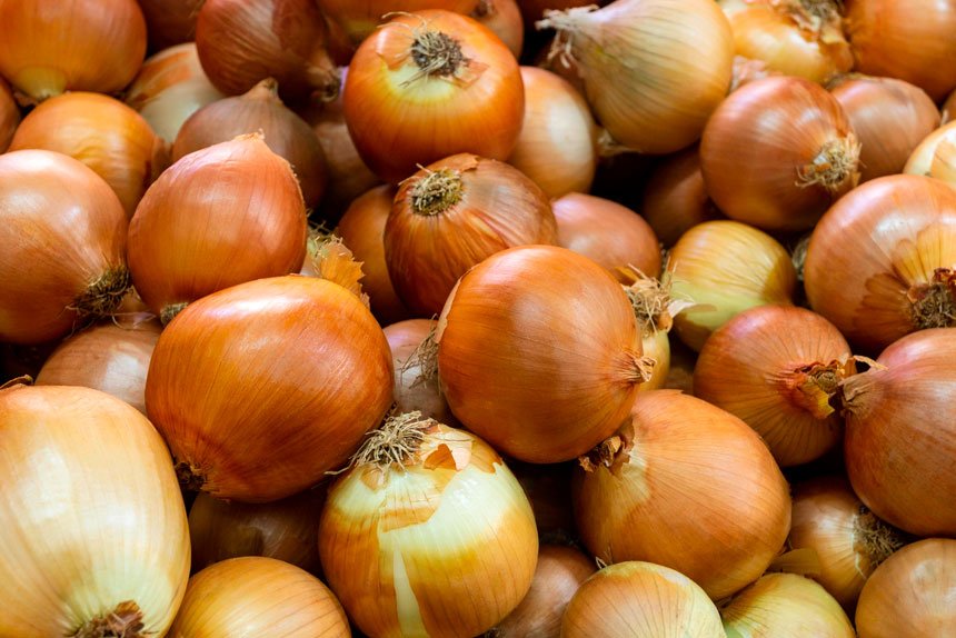 Grow and Harvest Your Own Walking Onions Easily
