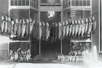 This image from 1909 suggests there were no limits in place back then.