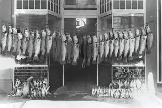 This image from 1909 suggests there were no limits in place back then.