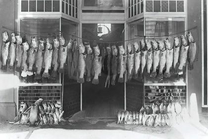 This image from 1909 suggests there were no limits in place back then.