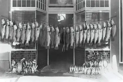 This image from 1909 suggests there were no limits in place back then.