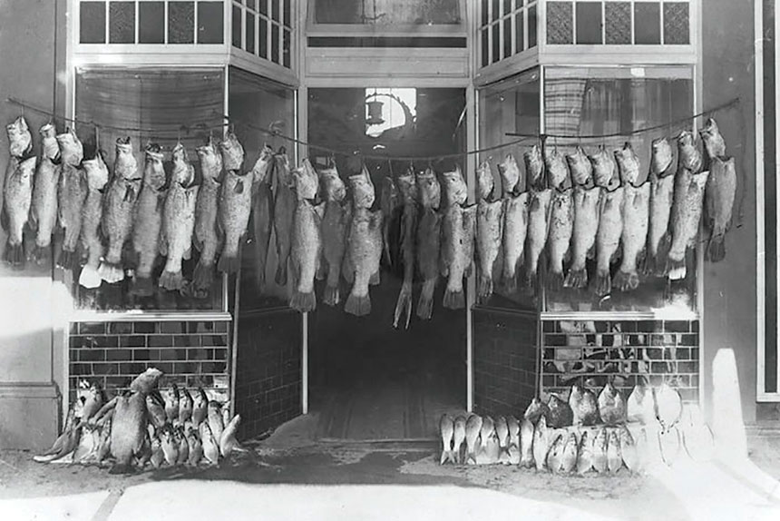 This image from 1909 suggests there were no limits in place back then.