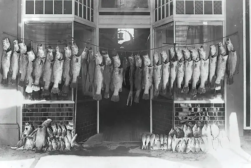 This image from 1909 suggests there were no limits in place back then.