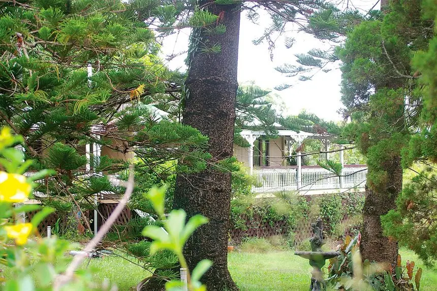 Willards Farm in 2015. PHOTO: Rob Weismantel