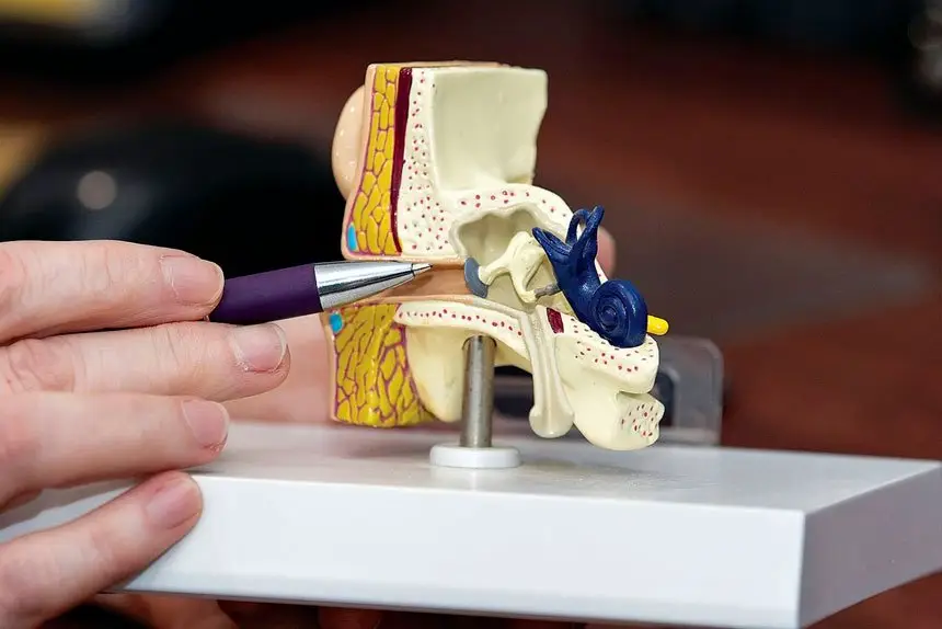 The build-up of air wax and resultant loss of hearing can be disconcerting.