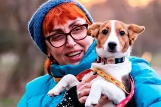 Transporting Pets Safely and Responsibly in Queensland