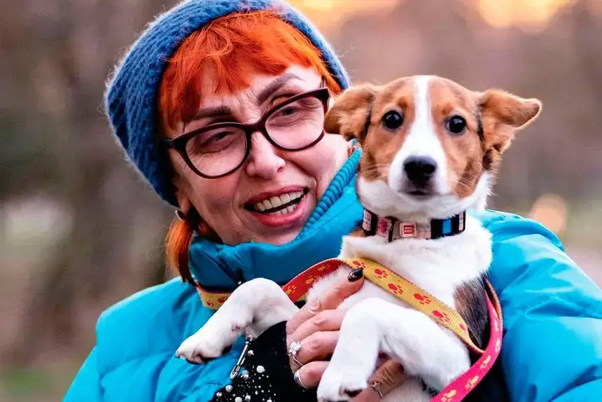 Transporting Pets Safely and Responsibly in Queensland