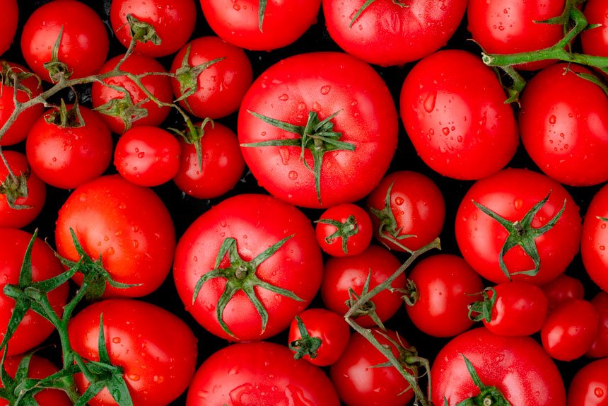 Tomato Virus Threatens Crops as GM Foods Rise
