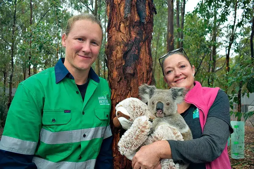 PASSION PROJECT: Koala Rescue Redlands and Surrounds President Jen Louw and Queensland Koala Society Co-founder Angela Christodoulou with a rescued koala at the Chandler sanctuary.