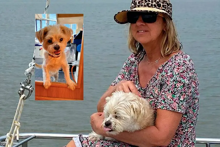SAD ENDING: Manly resident Cheryl Willis with her greatly missed companion Buddy.