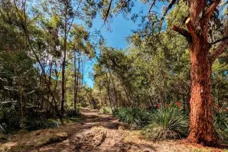 MISSING LINK: Work is finally under way on the long-awaited pedestrian footbridge at Victoria Point.