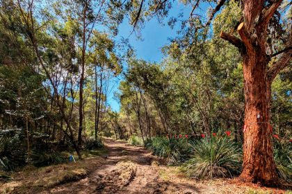 MISSING LINK: Work is finally under way on the long-awaited pedestrian footbridge at Victoria Point.