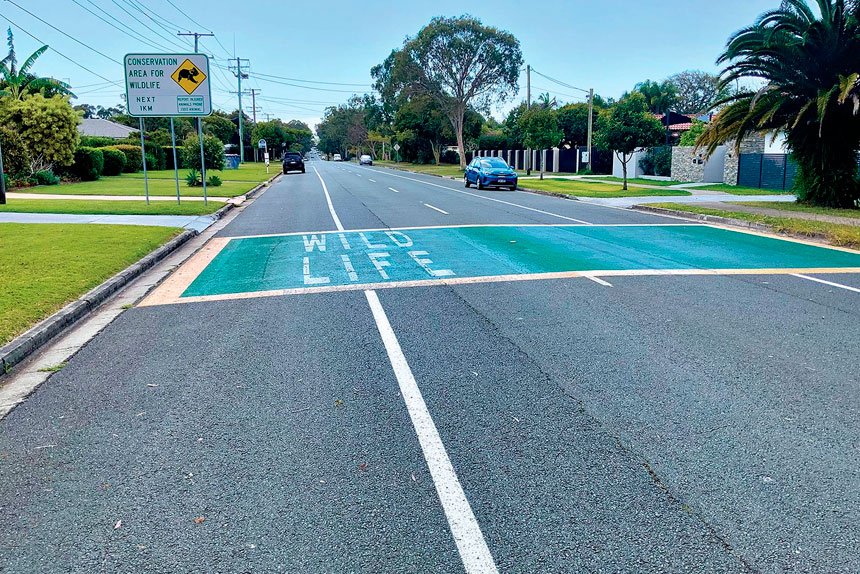 SAVING LIVES: The new road marking to on Fitzroy St.