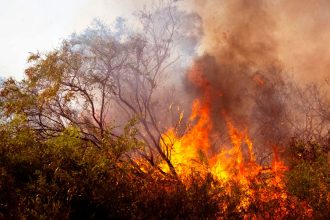 Redlands Coast Urged to Prepare for Bushfire Season