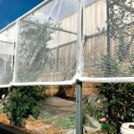 You can do things to protect your plants from wild weather.