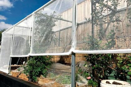 You can do things to protect your plants from wild weather.