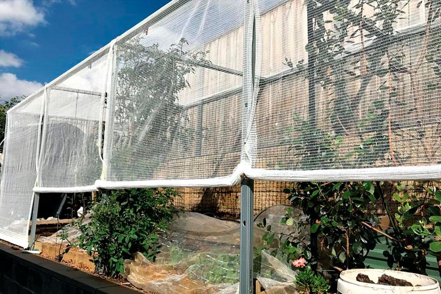 You can do things to protect your plants from wild weather.