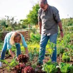 Finding Peace and Nostalgia Through Gardening