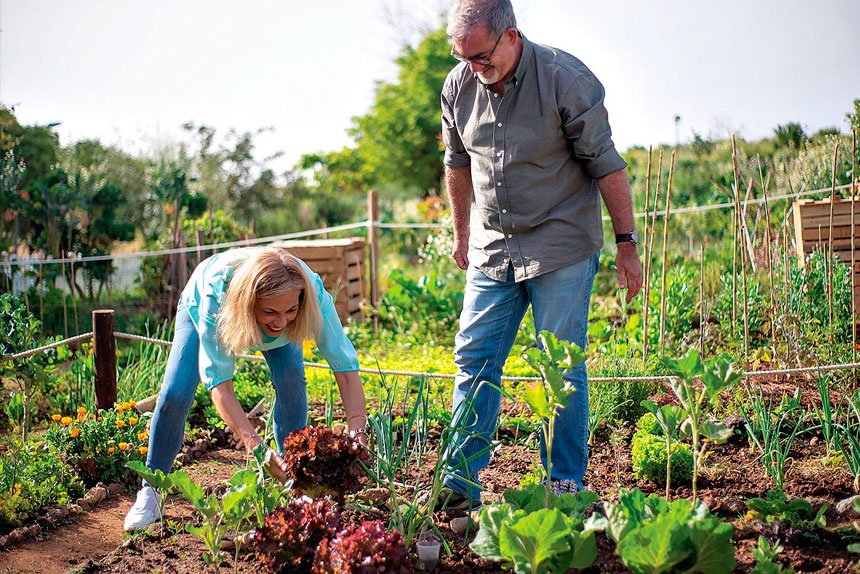 Finding Peace and Nostalgia Through Gardening