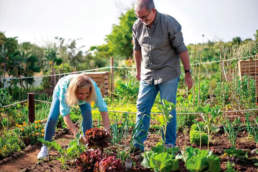 Finding Peace and Nostalgia Through Gardening