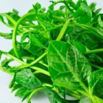 Heat-Loving Plants to Brighten Your Summer Garden