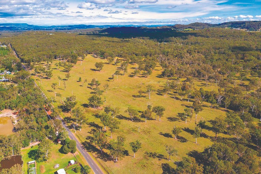 Mayor’s Audit Push Sparks Council Backlash