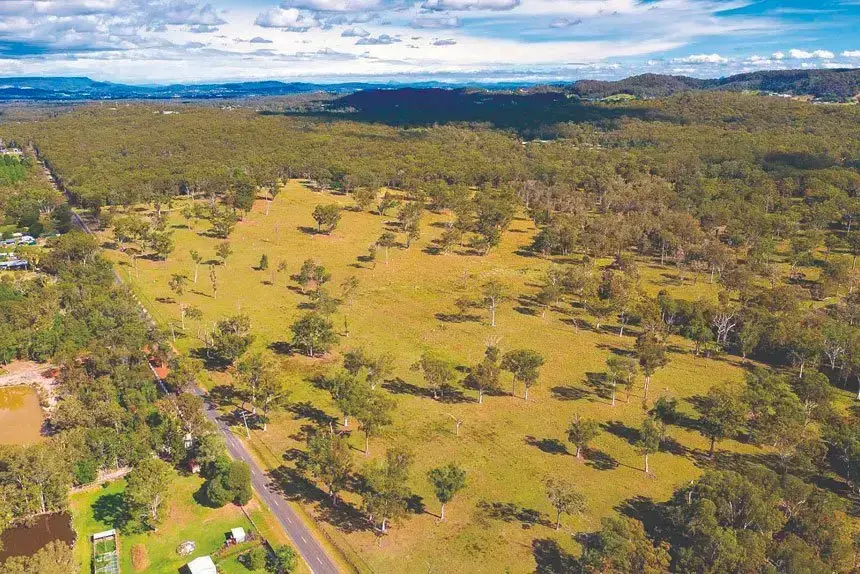 Mayor’s Audit Push Sparks Council Backlash