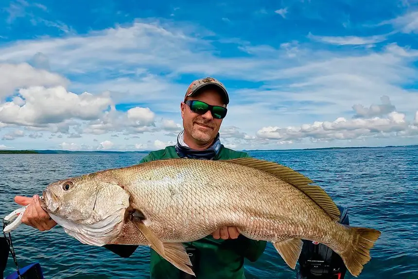 Peter Herbst fishes for himself, but also for 9000 YouTube subscribers. Here he has a jewfish, caught in Moreton Bay, his prime fishing spot.