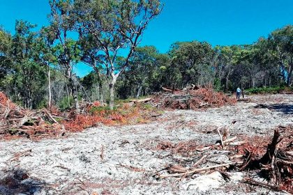 An example of recent land clearing in the Redlands Coast (unconnected to this case).