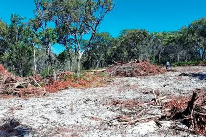An example of recent land clearing in the Redlands Coast (unconnected to this case).