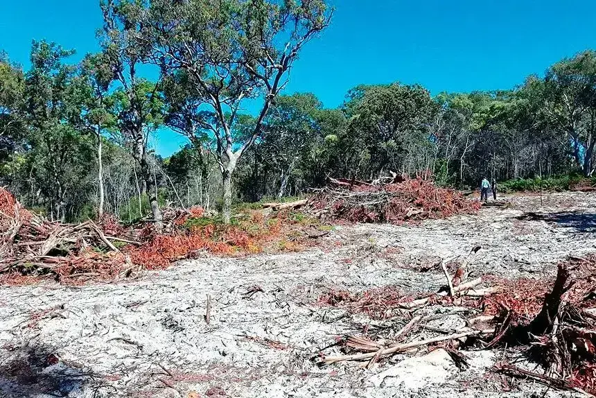 An example of recent land clearing in the Redlands Coast (unconnected to this case).