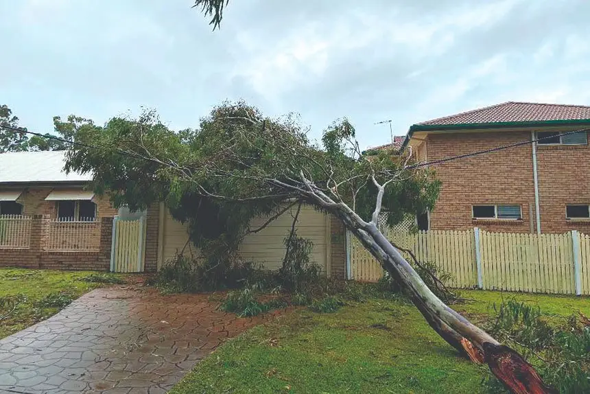 Redland City aligns with QLD on vegetation management