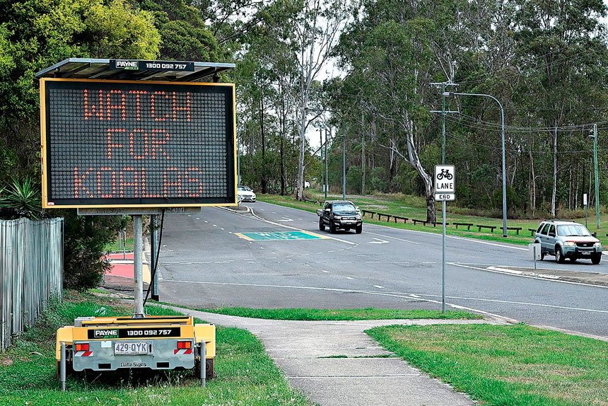TAKE CARE: A sign warning motorists to be vigilant while driving through bushland containing a koala habitat.