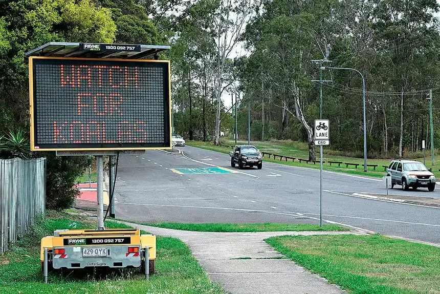 TAKE CARE: A sign warning motorists to be vigilant while driving through bushland containing a koala habitat.