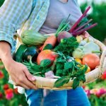 SUMMER HAUL: Many varieties love constant sunshine.